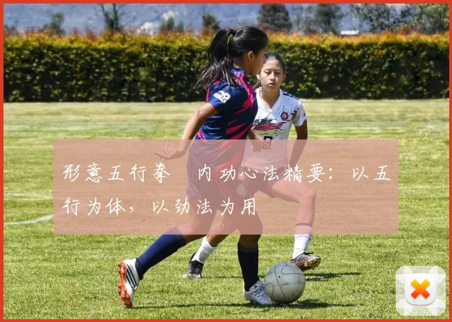 形意五行拳・内功心法精要:以五行为体,以劲法为用