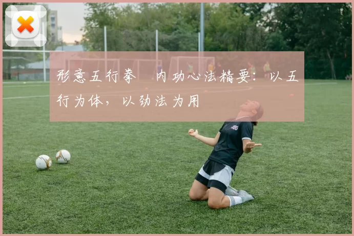 形意五行拳・内功心法精要:以五行为体,以劲法为用
