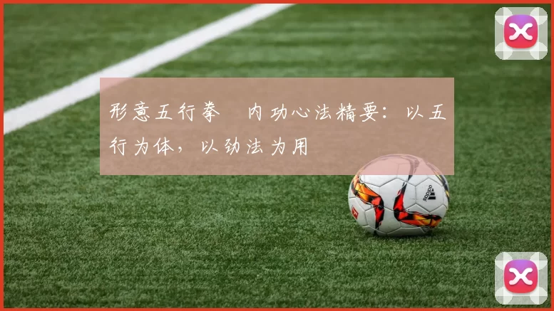 形意五行拳・内功心法精要：以五行为体，以劲法为用