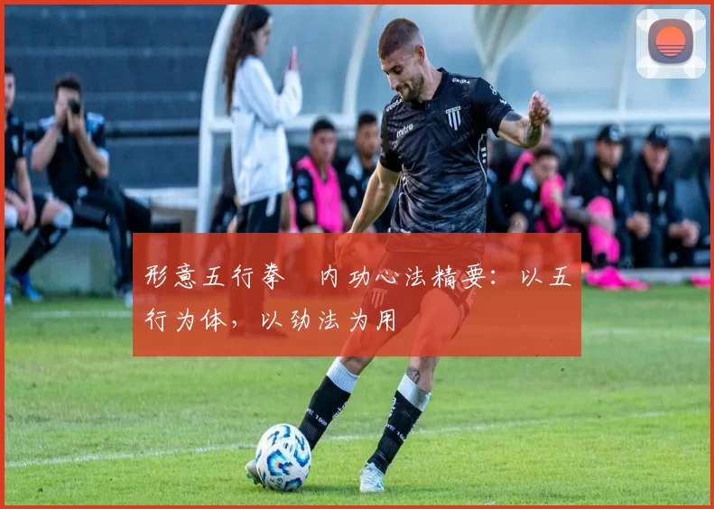 形意五行拳・内功心法精要：以五行为体，以劲法为用
