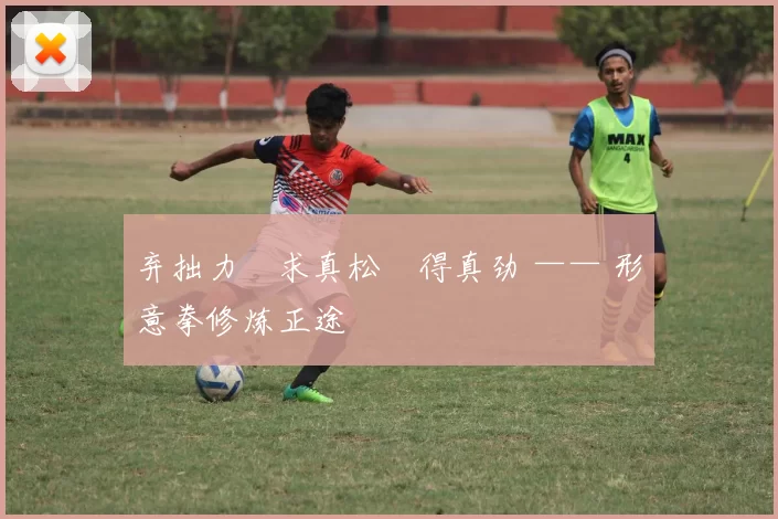 弃拙力・求真松・得真劲 —— 形意拳修炼正途