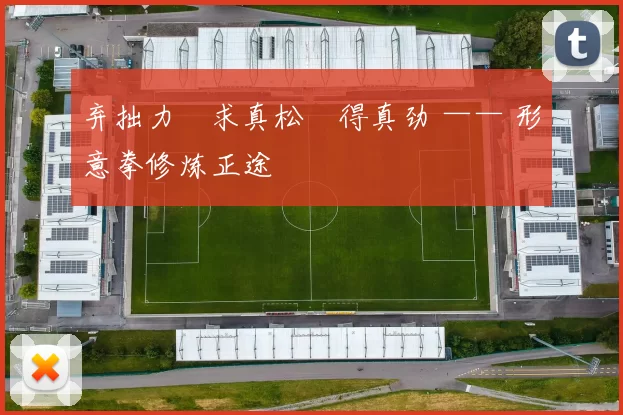 弃拙力・求真松・得真劲 —— 形意拳修炼正途