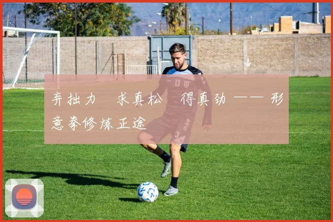 弃拙力・求真松・得真劲 —— 形意拳修炼正途