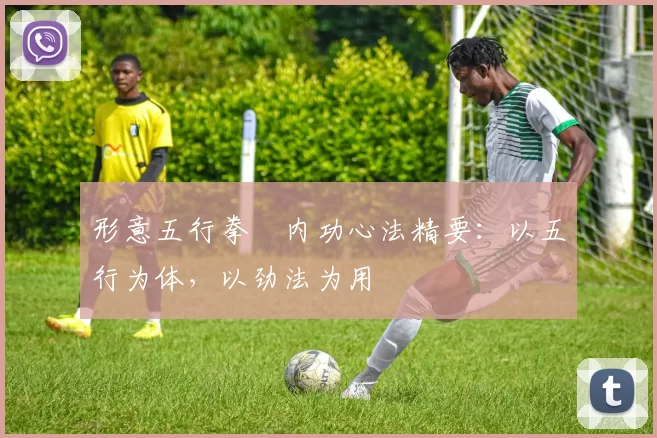 形意五行拳・内功心法精要：以五行为体，以劲法为用