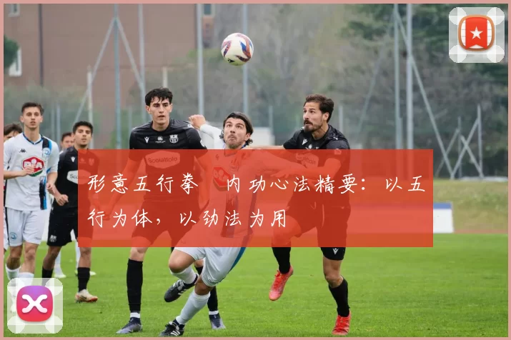 形意五行拳・内功心法精要：以五行为体，以劲法为用