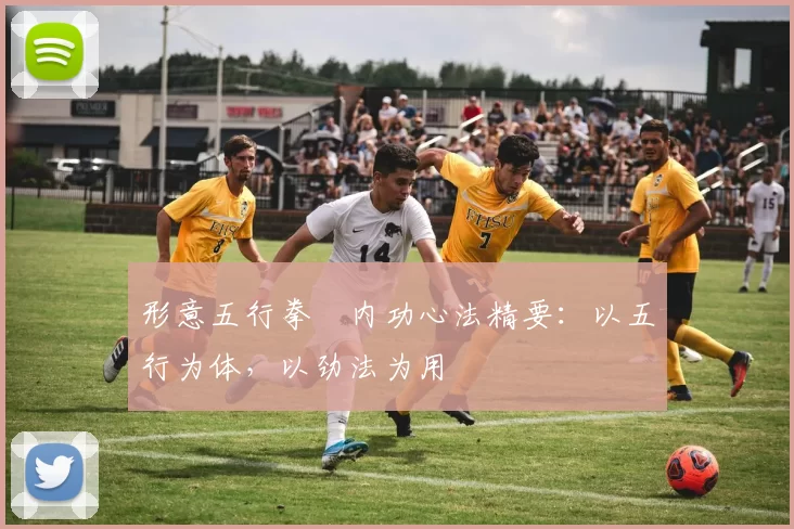 形意五行拳・内功心法精要：以五行为体，以劲法为用