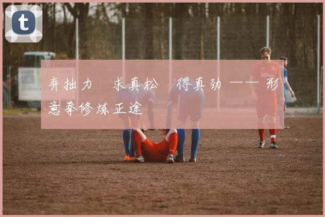 弃拙力・求真松・得真劲 —— 形意拳修炼正途