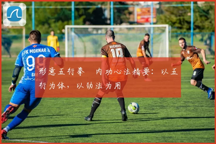 形意五行拳・内功心法精要：以五行为体，以劲法为用