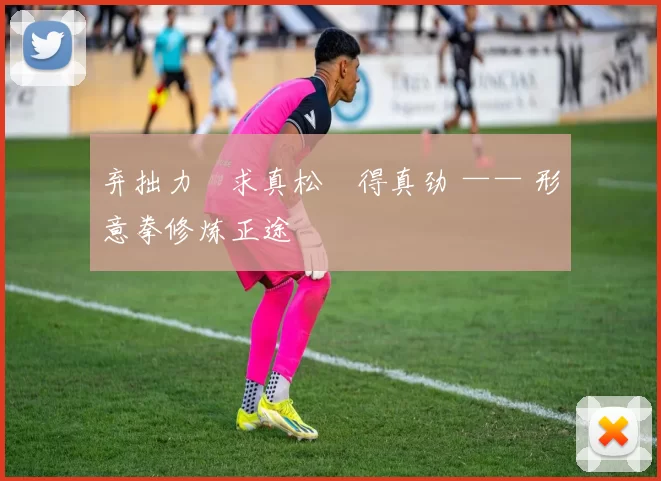 弃拙力・求真松・得真劲 —— 形意拳修炼正途