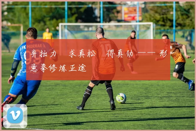 弃拙力・求真松・得真劲 —— 形意拳修炼正途