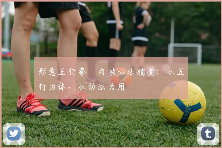 形意五行拳・内功心法精要:以五行为体,以劲法为用