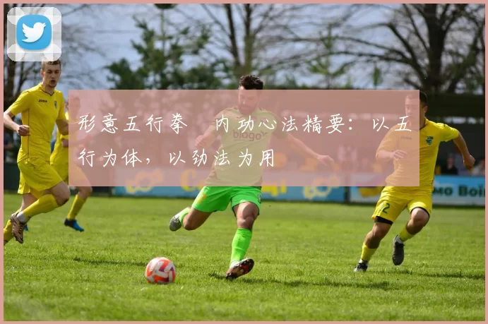 形意五行拳・内功心法精要：以五行为体，以劲法为用