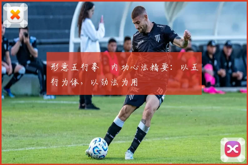 形意五行拳・内功心法精要：以五行为体，以劲法为用