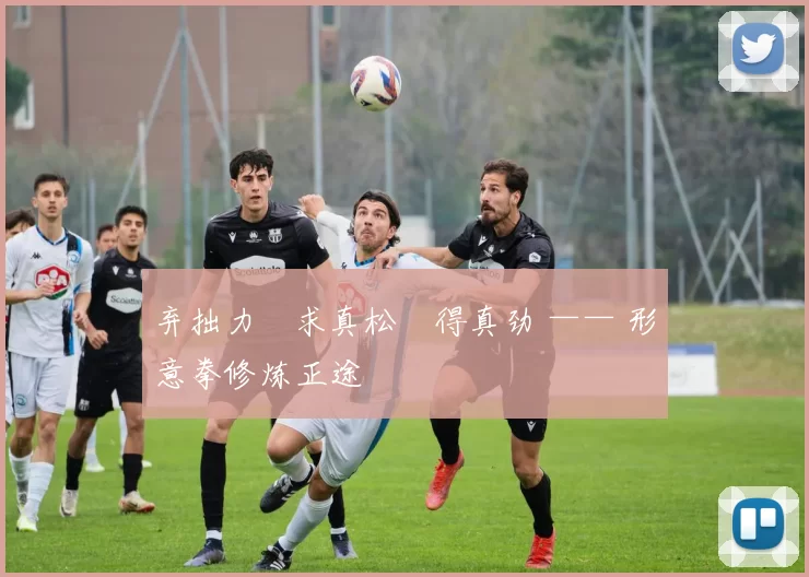 弃拙力・求真松・得真劲 —— 形意拳修炼正途