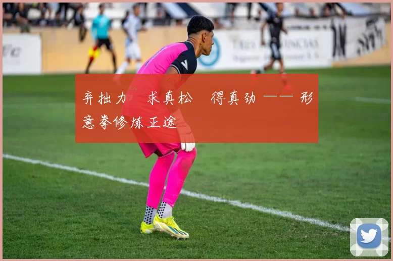 弃拙力・求真松・得真劲 —— 形意拳修炼正途