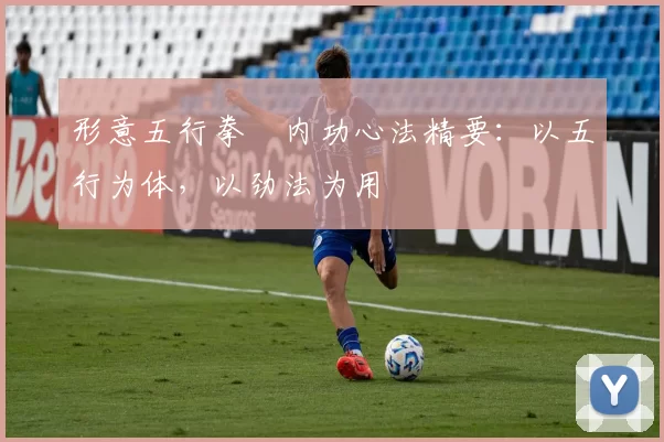 形意五行拳・内功心法精要:以五行为体,以劲法为用