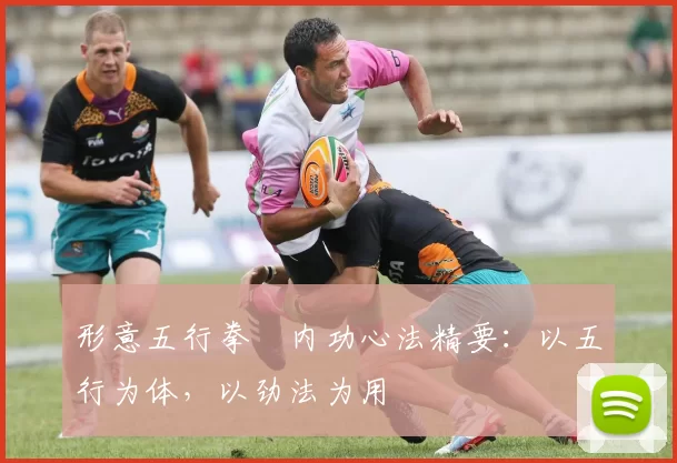 形意五行拳・内功心法精要:以五行为体,以劲法为用