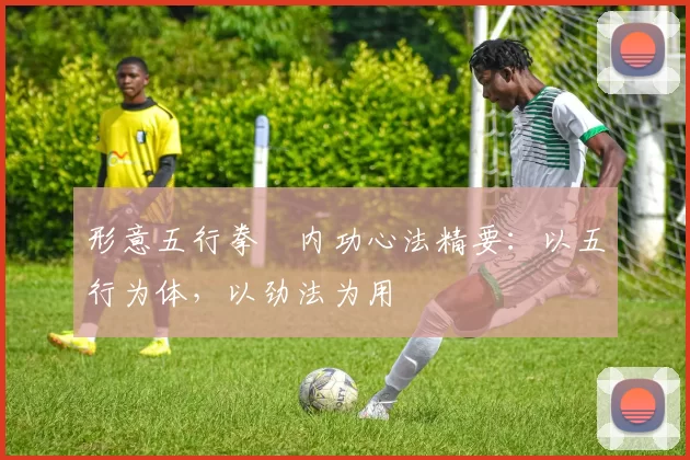 形意五行拳・内功心法精要：以五行为体，以劲法为用