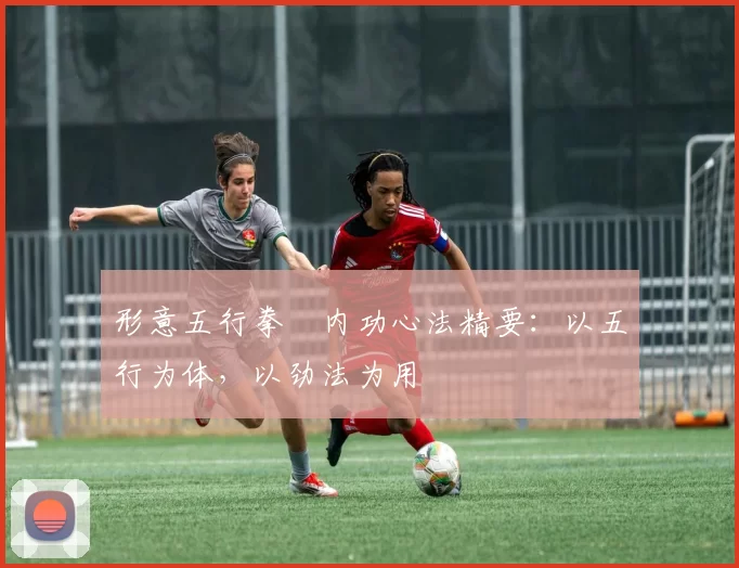 形意五行拳・内功心法精要：以五行为体，以劲法为用