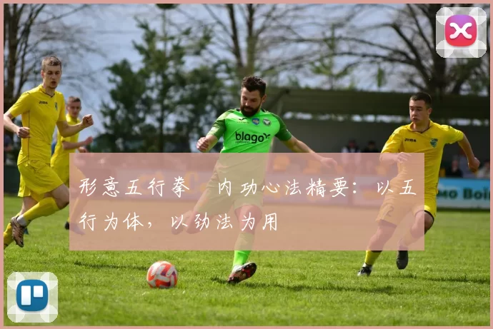 形意五行拳・内功心法精要：以五行为体，以劲法为用