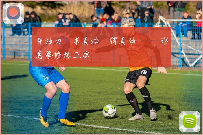 弃拙力・求真松・得真劲 —— 形意拳修炼正途