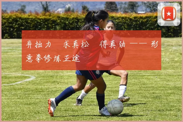 弃拙力・求真松・得真劲 —— 形意拳修炼正途