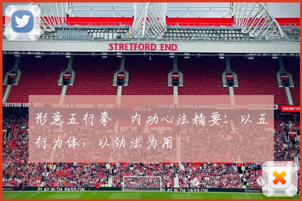 形意五行拳・内功心法精要:以五行为体,以劲法为用