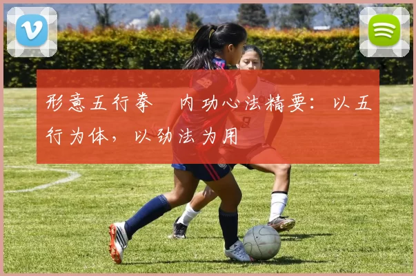 形意五行拳・内功心法精要：以五行为体，以劲法为用