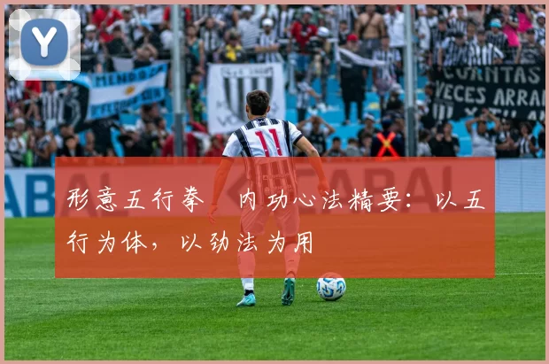 形意五行拳・内功心法精要：以五行为体，以劲法为用