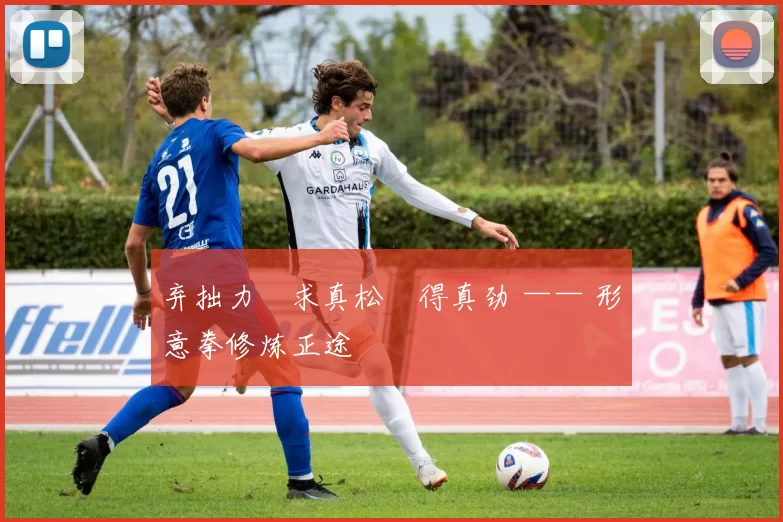 弃拙力・求真松・得真劲 —— 形意拳修炼正途