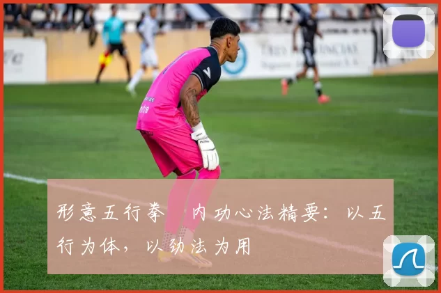 形意五行拳・内功心法精要:以五行为体,以劲法为用