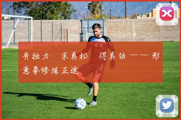 弃拙力・求真松・得真劲 —— 形意拳修炼正途