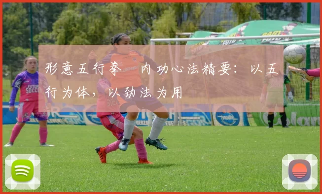 形意五行拳・内功心法精要：以五行为体，以劲法为用