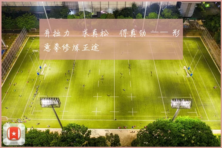 弃拙力・求真松・得真劲 —— 形意拳修炼正途