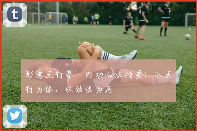 形意五行拳・内功心法精要:以五行为体,以劲法为用