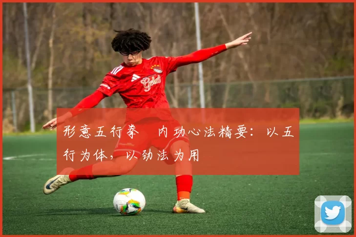 形意五行拳・内功心法精要：以五行为体，以劲法为用