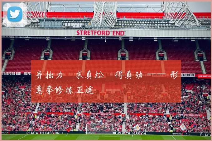 弃拙力・求真松・得真劲 —— 形意拳修炼正途