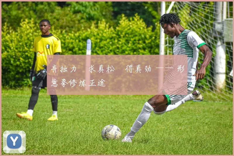 弃拙力・求真松・得真劲 —— 形意拳修炼正途