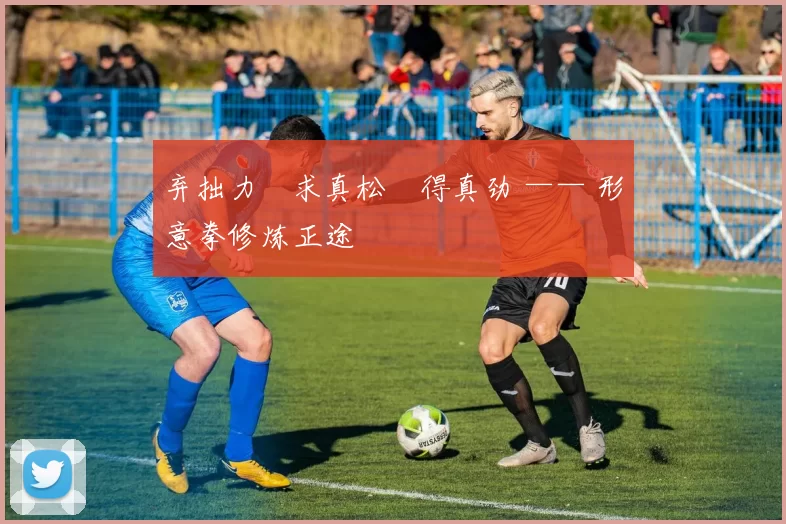 弃拙力・求真松・得真劲 —— 形意拳修炼正途