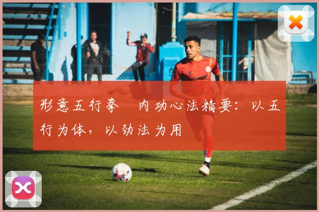 形意五行拳・内功心法精要：以五行为体，以劲法为用