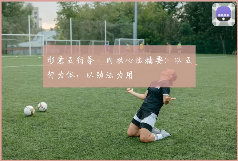 形意五行拳・内功心法精要:以五行为体,以劲法为用