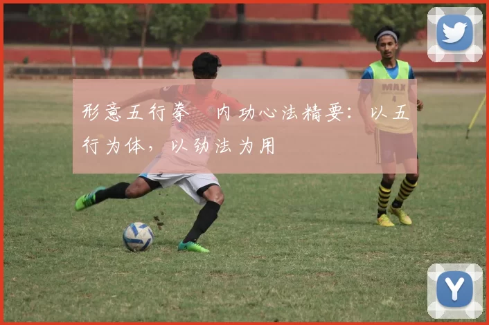 形意五行拳・内功心法精要：以五行为体，以劲法为用