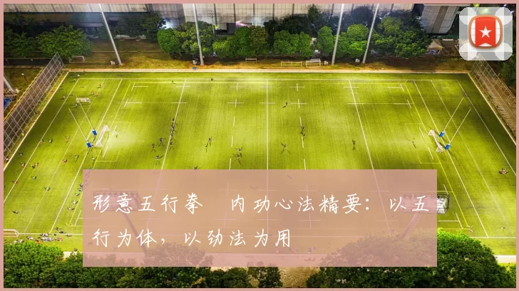 形意五行拳・内功心法精要：以五行为体，以劲法为用