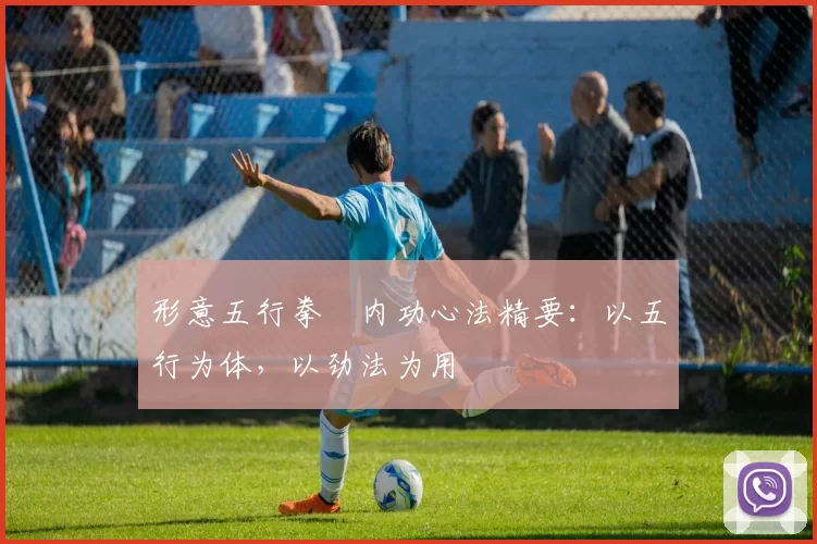 形意五行拳・内功心法精要：以五行为体，以劲法为用