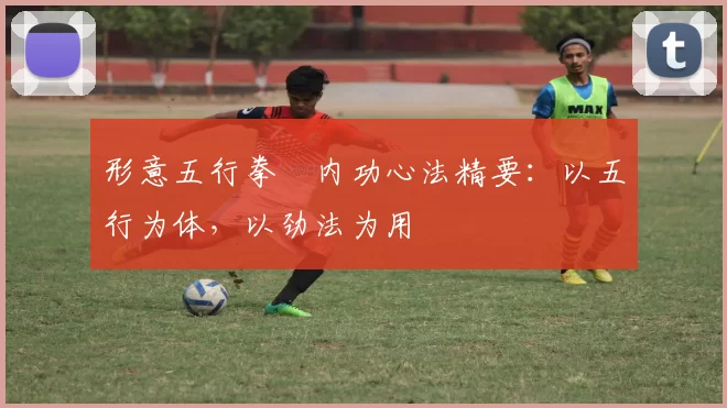 形意五行拳・内功心法精要：以五行为体，以劲法为用