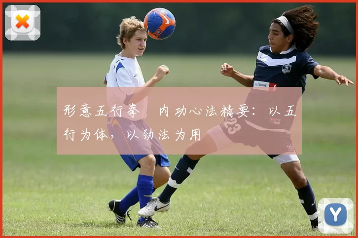 形意五行拳・内功心法精要：以五行为体，以劲法为用