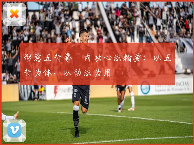 形意五行拳・内功心法精要：以五行为体，以劲法为用