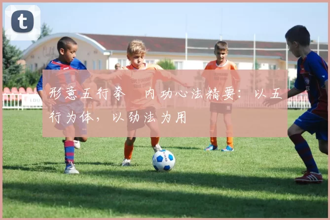 形意五行拳・内功心法精要：以五行为体，以劲法为用