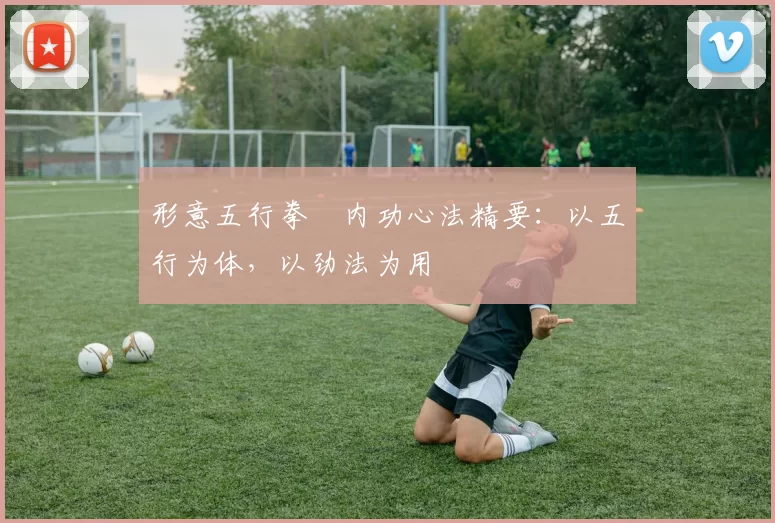 形意五行拳・内功心法精要：以五行为体，以劲法为用