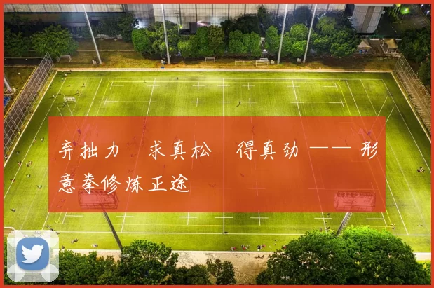 弃拙力・求真松・得真劲 —— 形意拳修炼正途